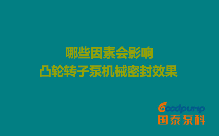 哪些因素会影响凸轮转子泵机械密封效果