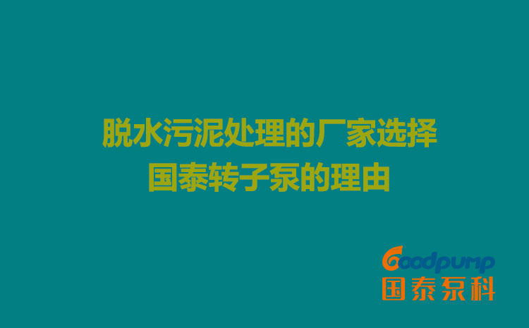 脱水污泥处理的厂家选择国泰转子泵的理由