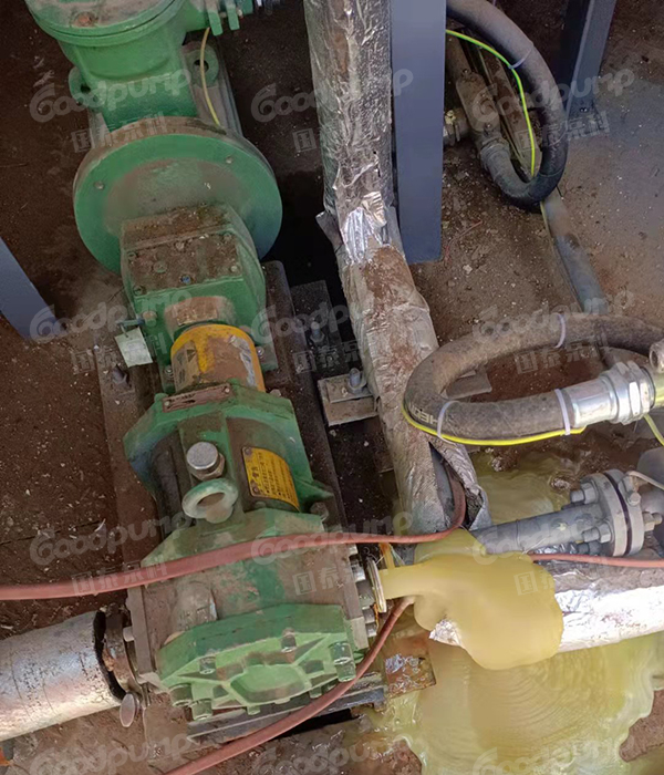 国泰转子泵在含油污水工况中的应用