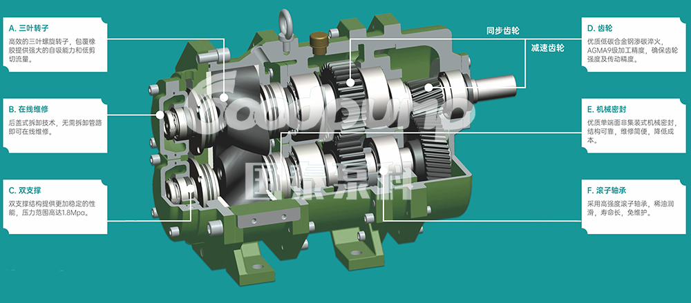国泰转子泵工作原理