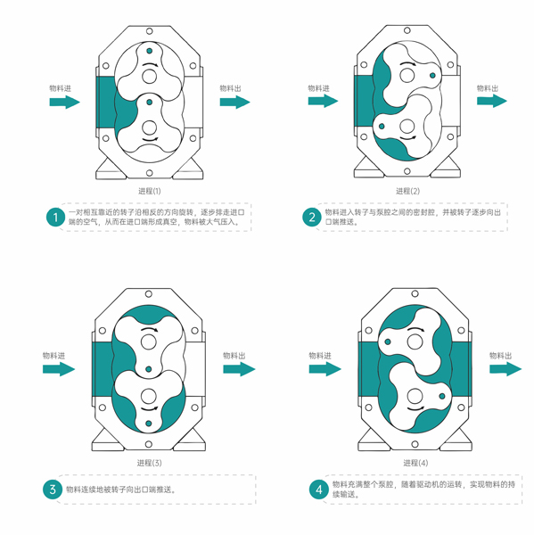 凸轮转子泵工作原理
